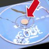 CD Spider Foam Button (1000 pcs Plate) Different color