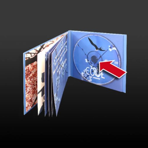 CD Spider Plastic Button 1000 pcs, Self Adhesive - Image 29